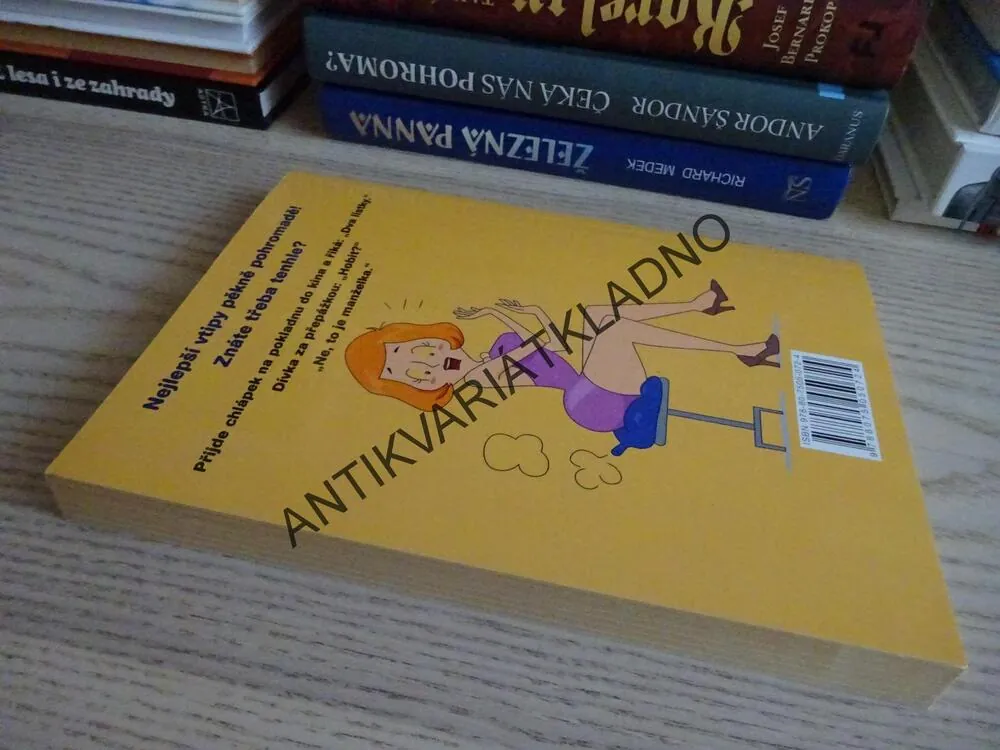 NEJLEPŠÍ KAMEŇÁKY, VTIPY, HUMOR, **an