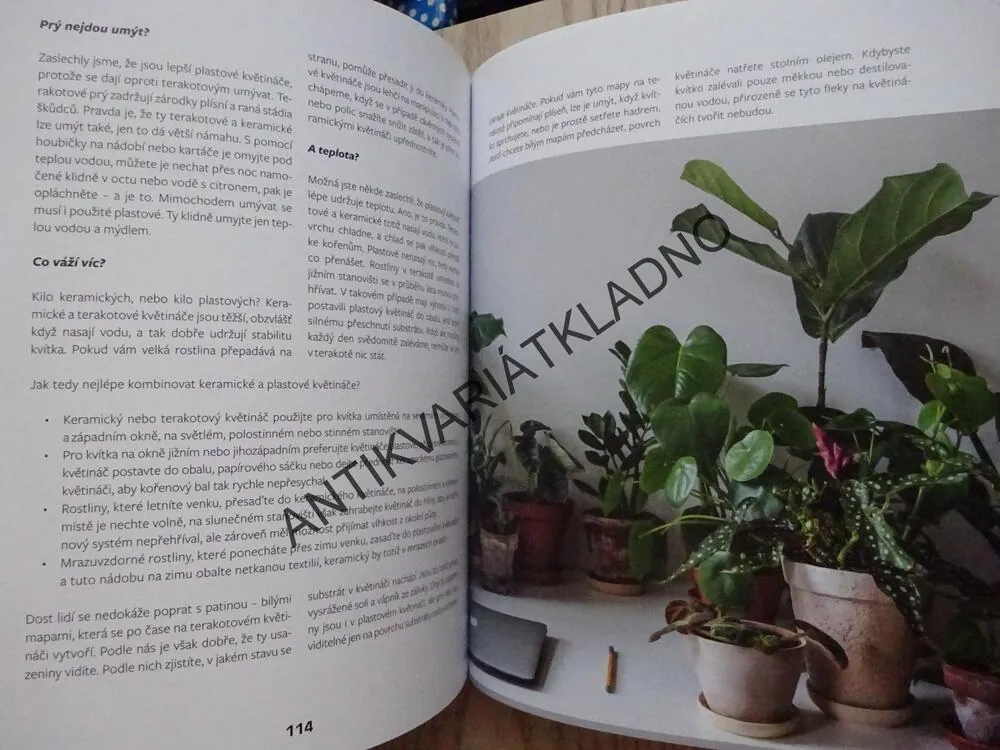 KVÍTKA V BYTĚ, VERONIKA JEŽKOVÁ, NIKOL FRANCOVÁ, **an