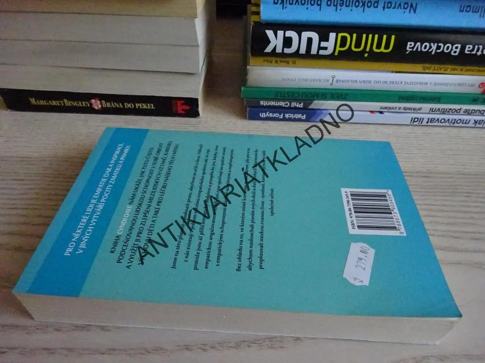DUCHOVNÍ SÍLA EMPATIE, CYNDI DALE, **an