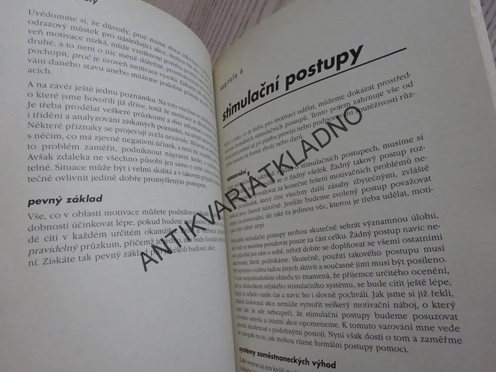 JAK MOTIVOVAT LIDI, PATRICK FORSYTH, **an
