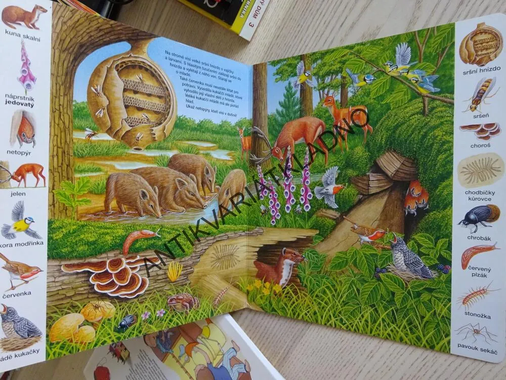MOJE PRVNÍ OBRÁZKOVÁ KNÍŽKA, JAK BYDLÍ ZVÍŘÁTKA, **an
