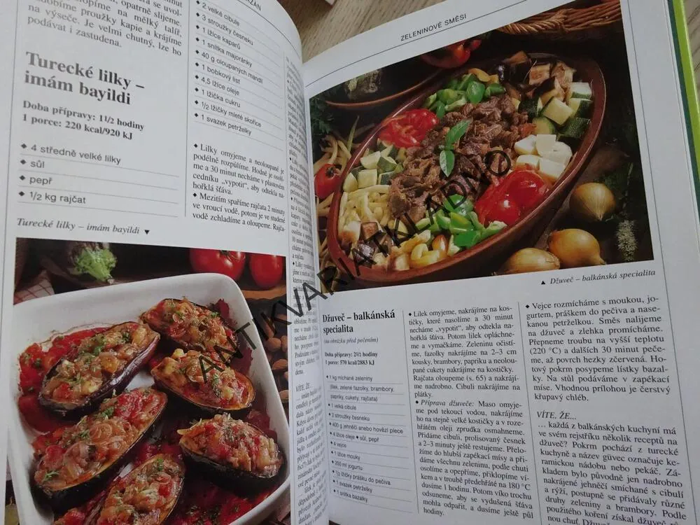 CHUTNÁ JÍDLA ZE ZELENINY, MARI LAJOSOVÁ, KÁROLY HEMZÖ, **an
