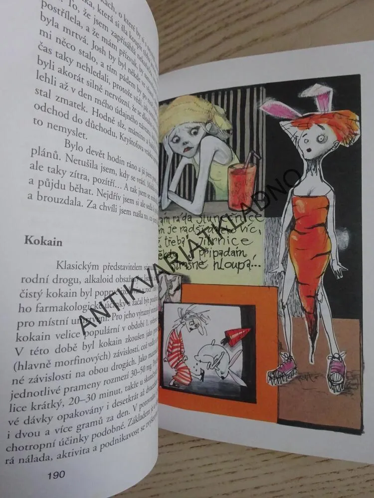 ŠŤÁVA Z MRKVE, KATEŘINA PROCHÁZKOVÁ, **an