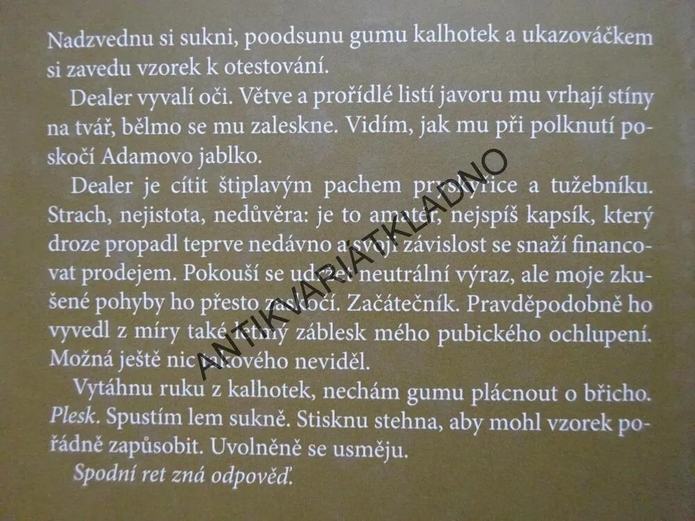 JÁDRO SLUNCE, JOHANNA SINISALO, **an