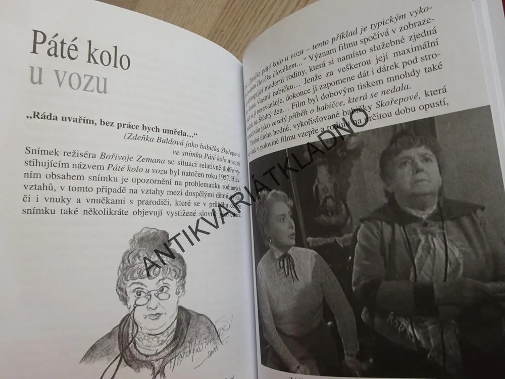 PRŮŠVIHY ZDEŇKY BALDOVÉ, MICHAELA KOŠŤÁLOVÁ, **an