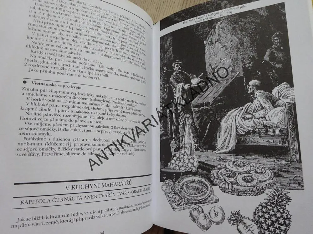 CESTA KOLEM SVĚTA V DVAKRÁT 80 RECEPTECH, JULES VERNY, **an