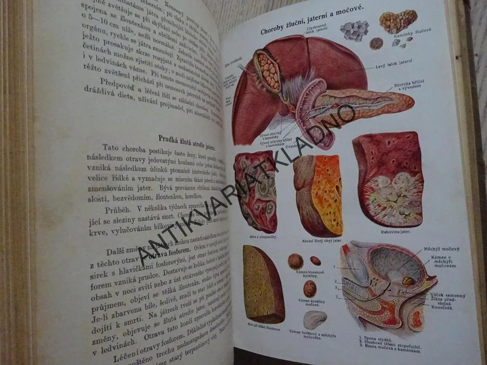 PŘÍRODNÍ LÉČBA A DOMÁCÍ LÉKAŘ, **an