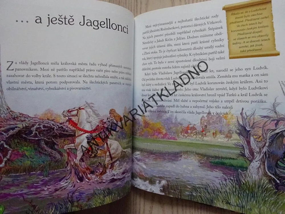 POVÍDÁNÍ O ČESKÝCH DĚJINÁCH NEJEN PRO ŠKOLÁKAY, **an