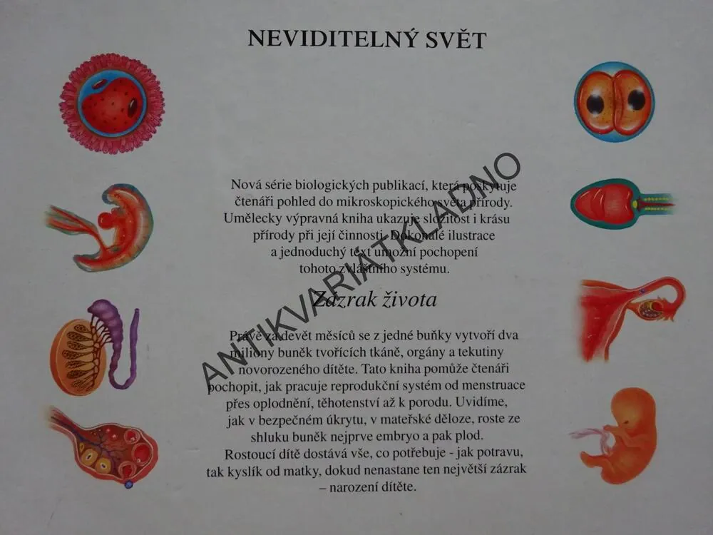 ZÁZRAK ŽIVOTA, NEVIDITELNÝ SVĚT, **an