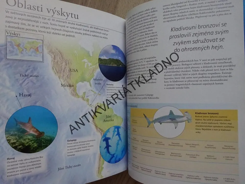 ŽRALOCI A OSTATNÍ PREDÁTOŘI HLUBIN, OBÁVANÍ VLÁDCI OCEÁNŮ, **an