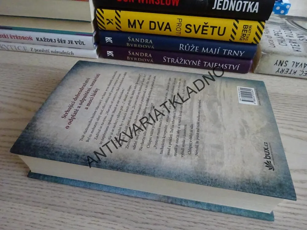 DÍTĚ, KTERÉ NAŠLO V NOCI SLUNCE, LUCA DI FULVIO, **an