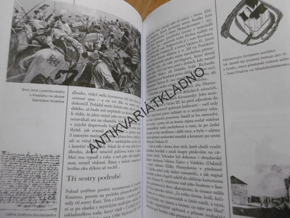 HÁDANKY NAŠÍ MINULOSTI, 6., BÍLEK, JASNÝ POHLED SLEPÉHO KRÁLE, **an