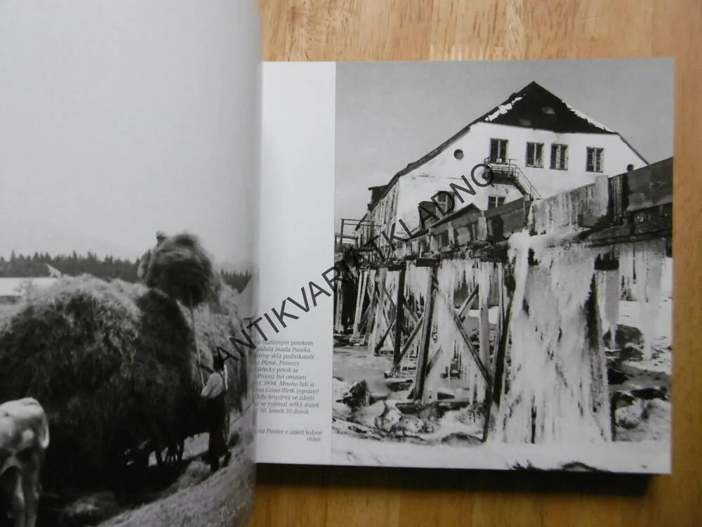 PŘEDVÁLEČNOU ŠUMAVU, ŽIVOT,PRÁCE,KRAJINA, ŠUMAVA, ROUČKA, 2006