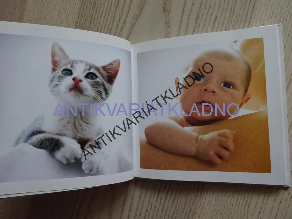DOBŘÍ PRÁTELÉ, VICKY CEELENOVÁ, **an