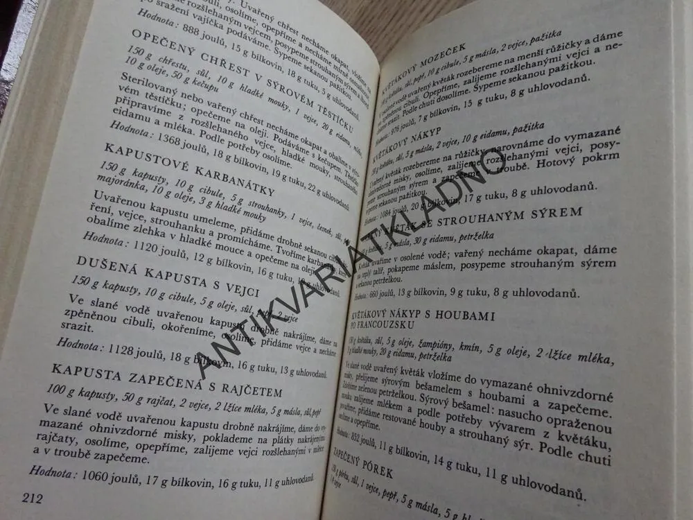 DIETNÍ KUCHAŘKA PRO ZAMĚSTNANOU ŽENU, KOLEKTIV AUTOREK, **an