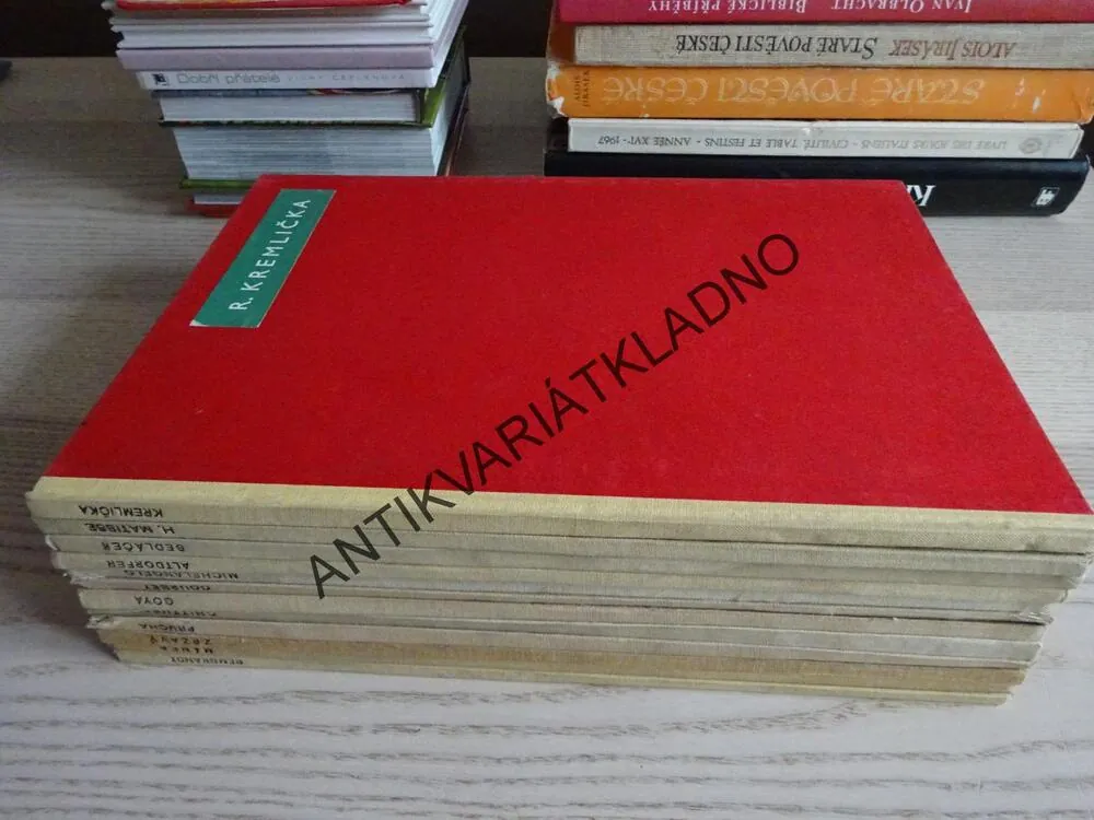 SOUBOR UMĚNÍ - REMBRANDT, MÁNES, ZRZAVÝ, GOYA, MICHELANGELO, MATISSE A DALŠÍ (CELKEM 12 KNIH) **an