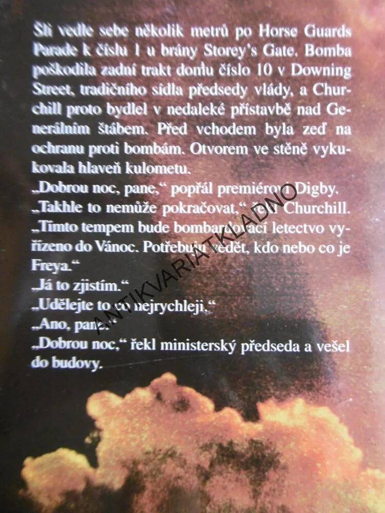 SRŠEŇ LÉTÁ V NOCI, KEN FOLLETT, LETECTVÍ, **an