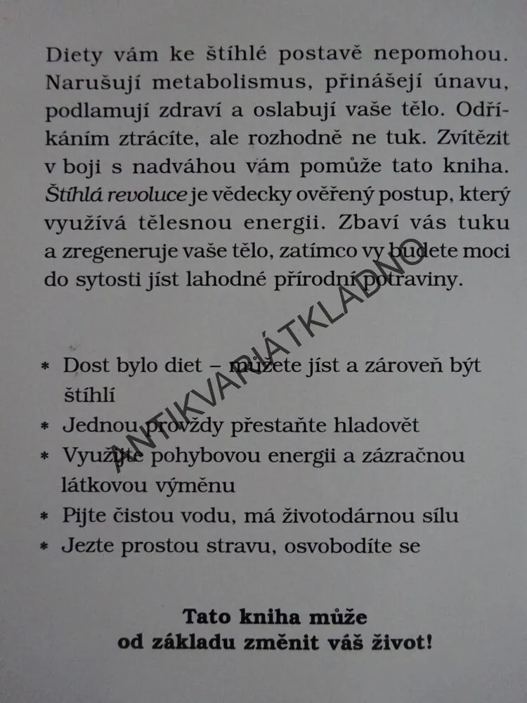 ŠTÍHLÁ REVOLUCE, LESLIE KENTON, **an