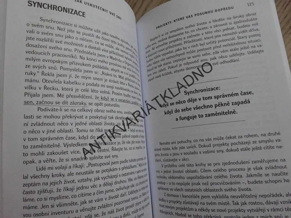 JAK USKUTEČNIT SVÉ SNY, MARCIA WIEDER, **an