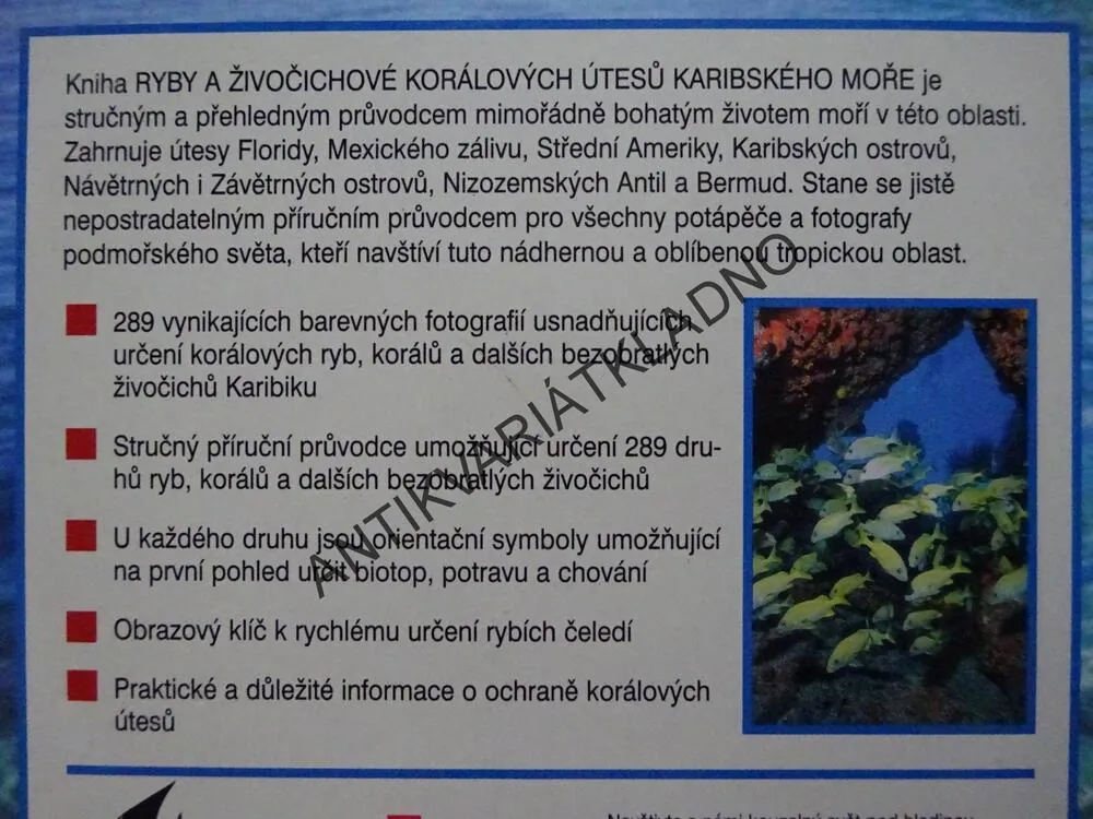 KORÁLOVÉ ÚTESY KARIBIKU, **an