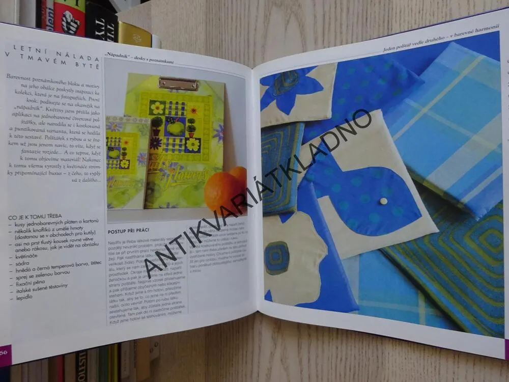 12 MĚSÍCŮ V BYTĚ, KRÁŠLÍME DOMOV: VLASTNORUČNĚ A NÁPADITĚ, **an