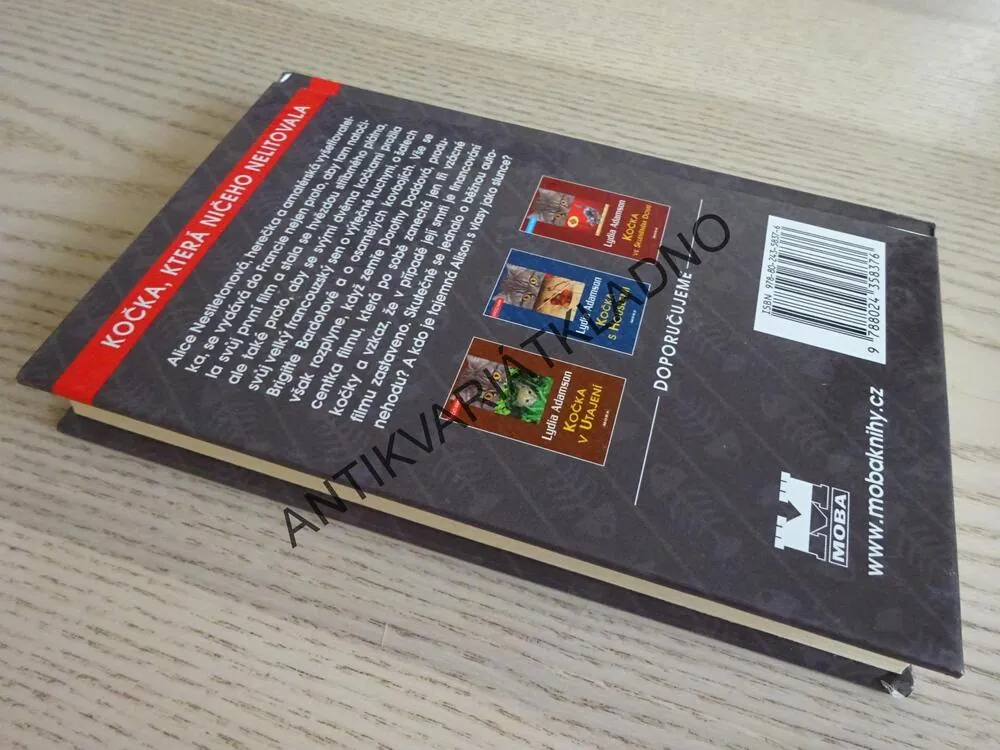 KOČKA, KTERÁ NIČEHO NELITOVALA, LYDIA ADAMSON, **an