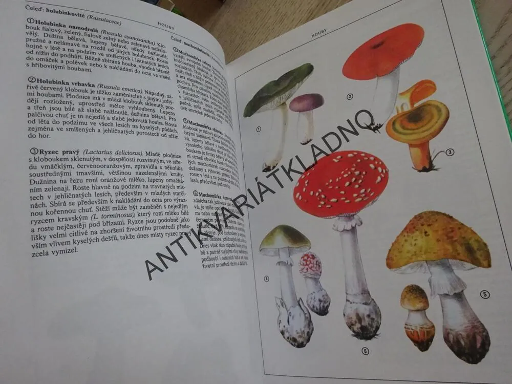 NAŠÍ PŘÍRODOU KROK ZA KROKEM, TOMAN, HÍSEK, **an