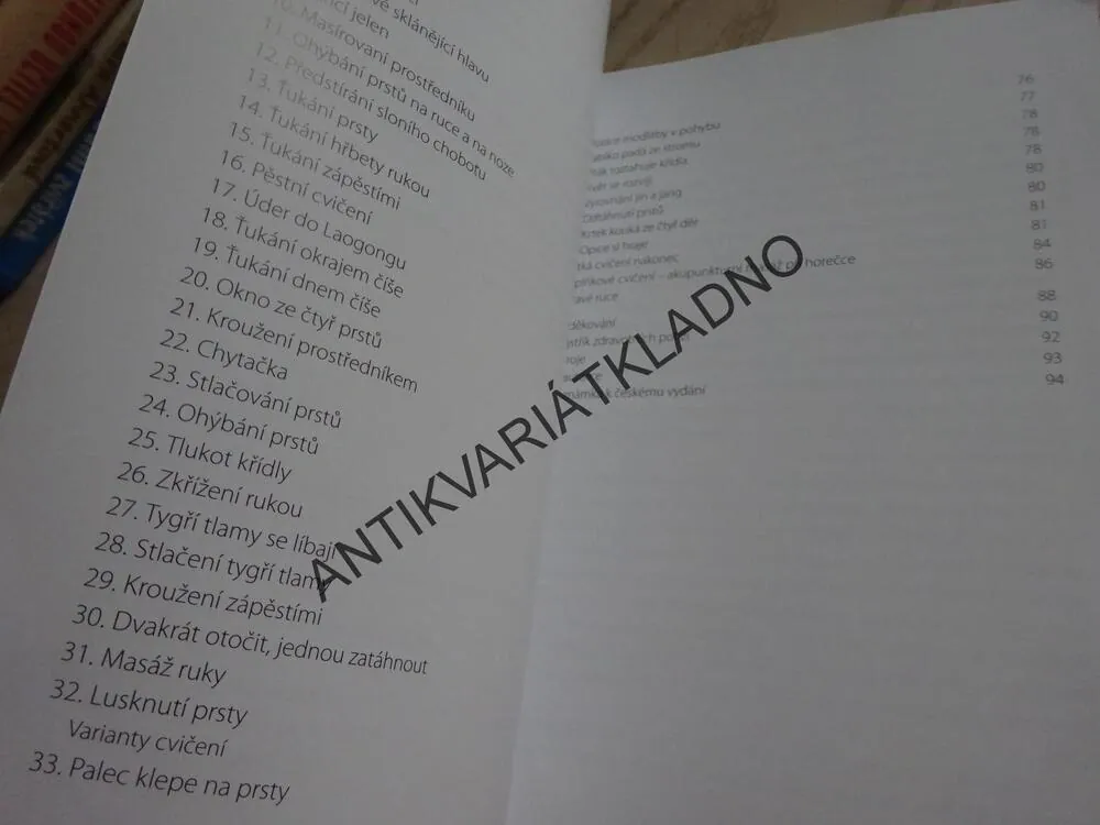 PRSTOVÝ ČCHI-KUNG, BERNADETT GERA, **an