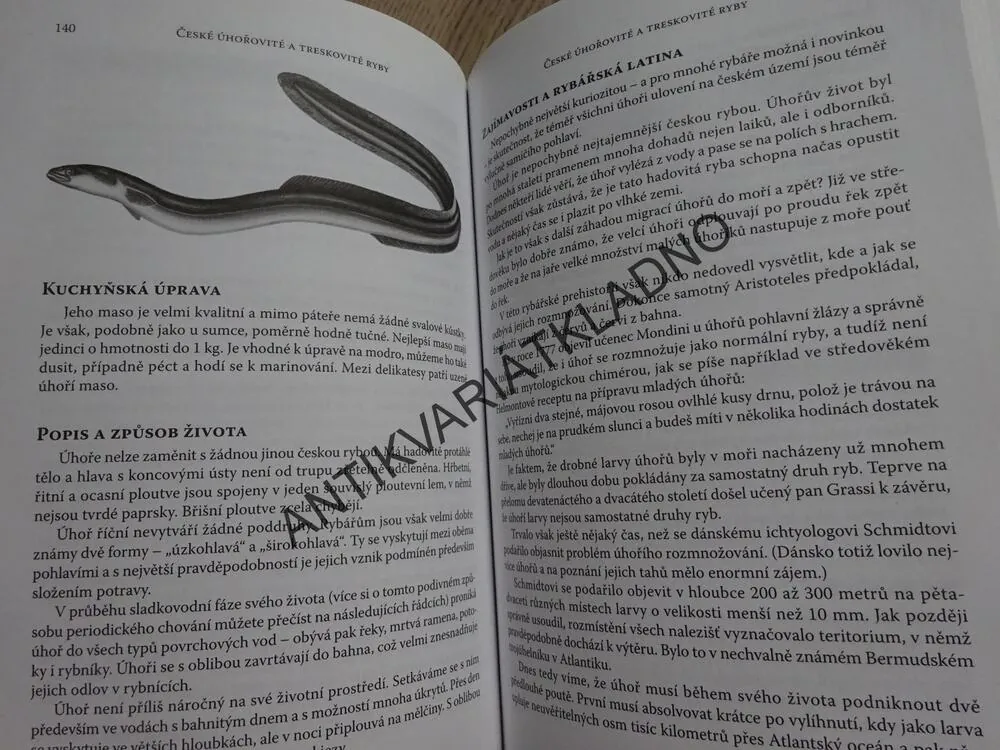 PŘÍRUČKA PRO RYBÁŘE, RYBÁŘSTVÍ, VOJTĚCH SLÁMA, RYBA, RYBY, **an