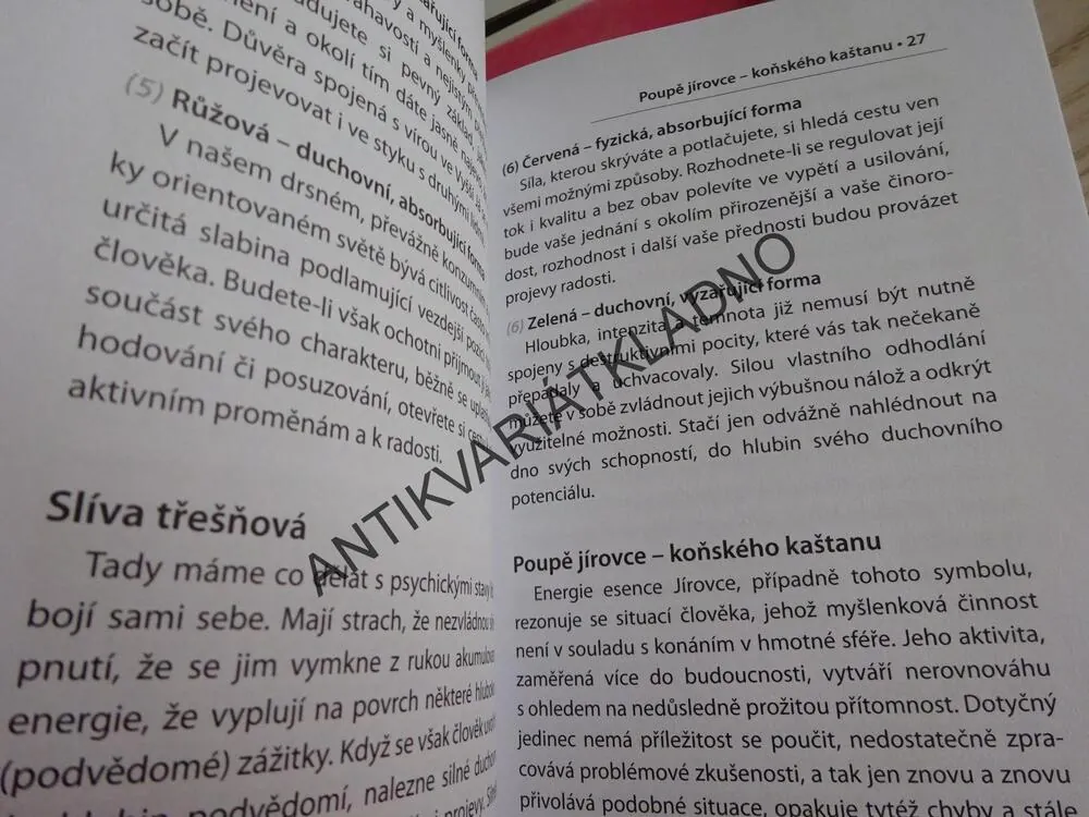 BACHOVA KVĚTOVÁ TERAPIE, O SYMBOLECH, JIŘINA LOCKEROVÁ