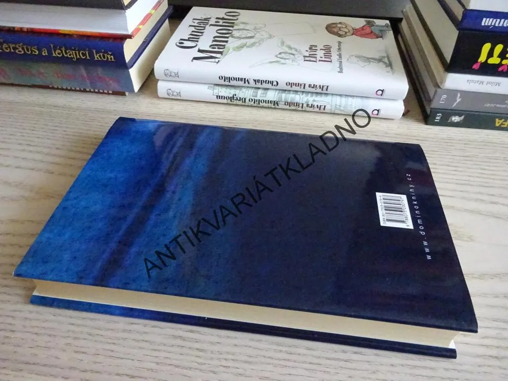 ZBĚSILOST, KARIN SLAUGHTER, **an