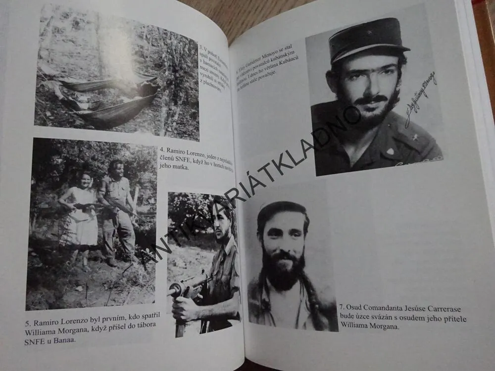 EL AMERICANO, ARAN SHETTERLY, **an