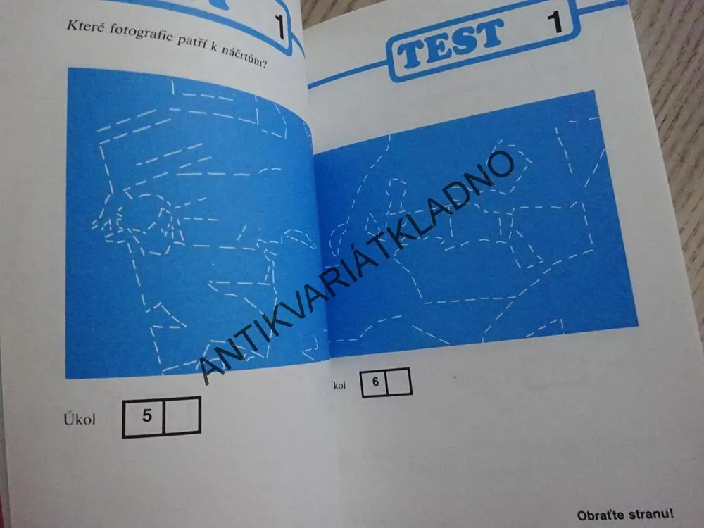 IQ TEST PRO KAŽDÉHO, J. E. KLAUSNITZER, **an