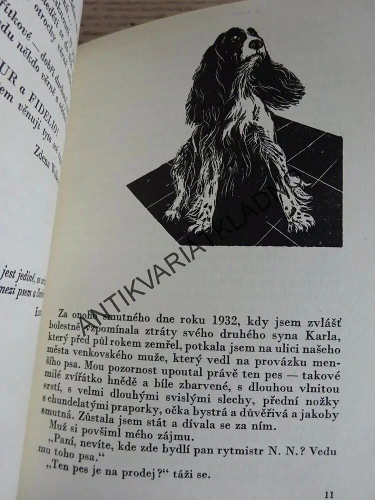 MĚLI JSME DVA PSY, ZDENA WOLKEROVÁ, **an
