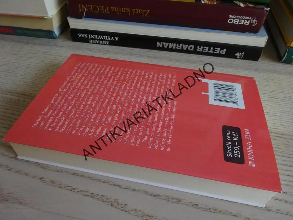 FARENHEITOVA DVOJČATA, MICHEL FABER, **an