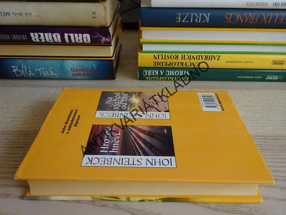 TOULAVÝ AUTOBUS, JOHN STEINBECK, **an