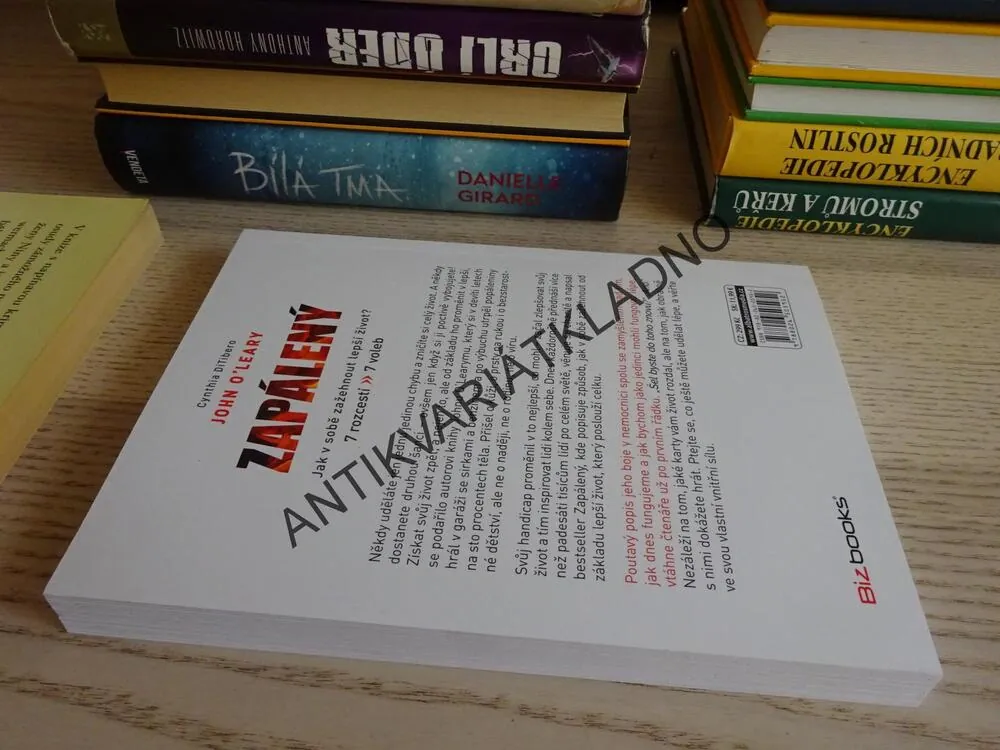 ZAPÁLENÝ, CYNTHIA DITIBERO, JOHN O'LEARY, **an