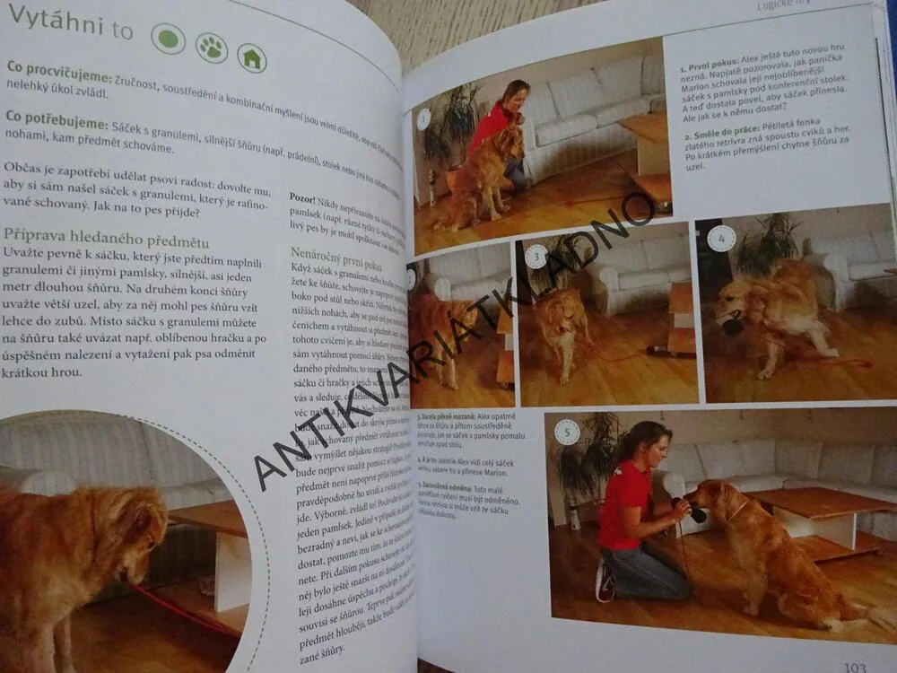 PES, VÝCVIK HROU A SPORTEM, KIRSTEN WOLF, **an