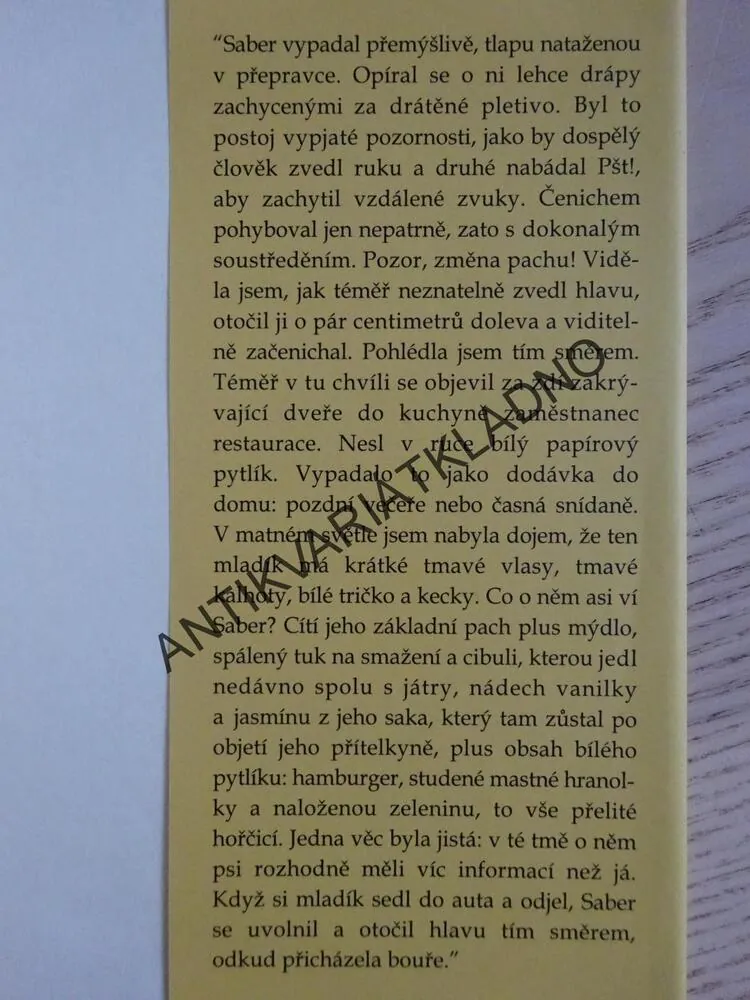 STOPY POHŘEŠOVANÝCH, SUSANNAH CHARLESONOVÁ, **an
