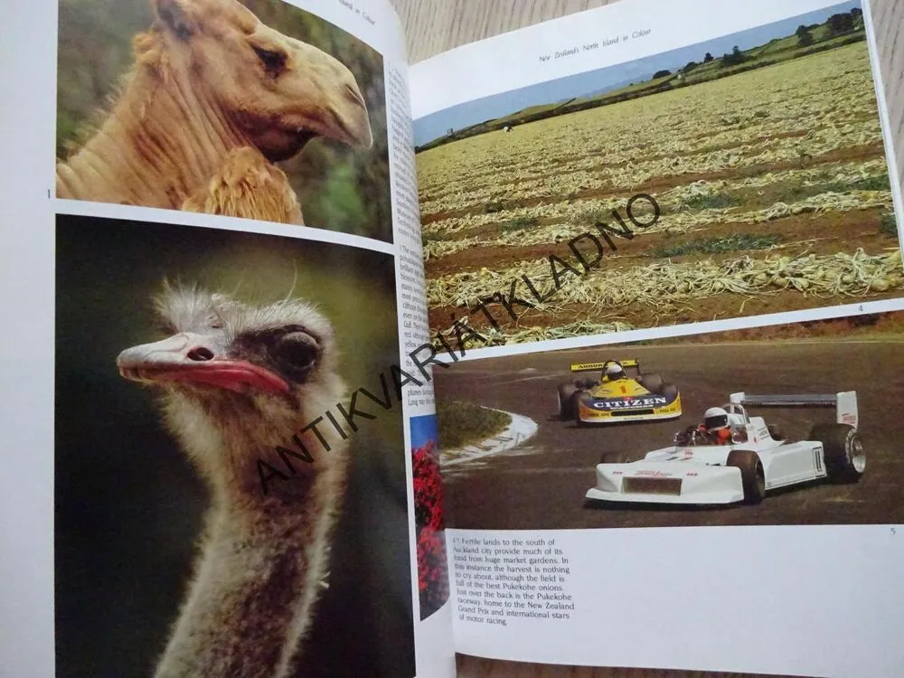 NEW ZEALAND'S NORTH ISLAND IN COLOUR, NOVÝ ZÉLAND, **an