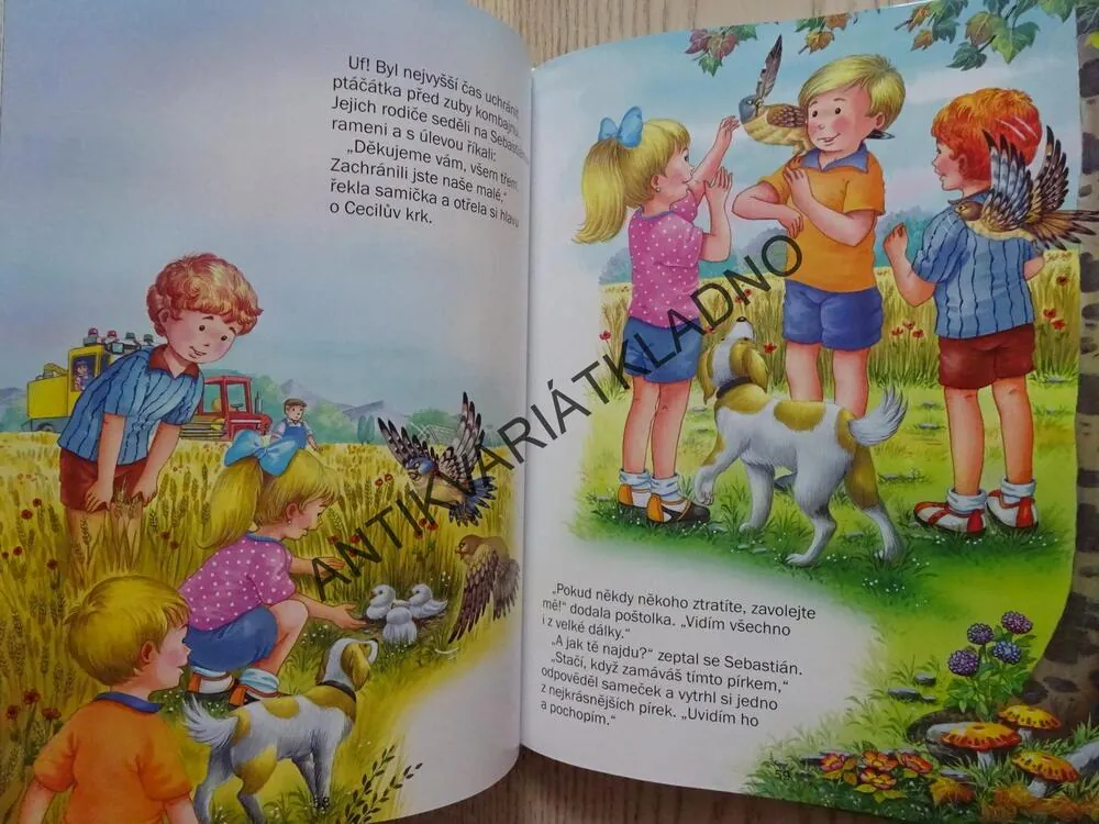 ROK NA STATKU, **an