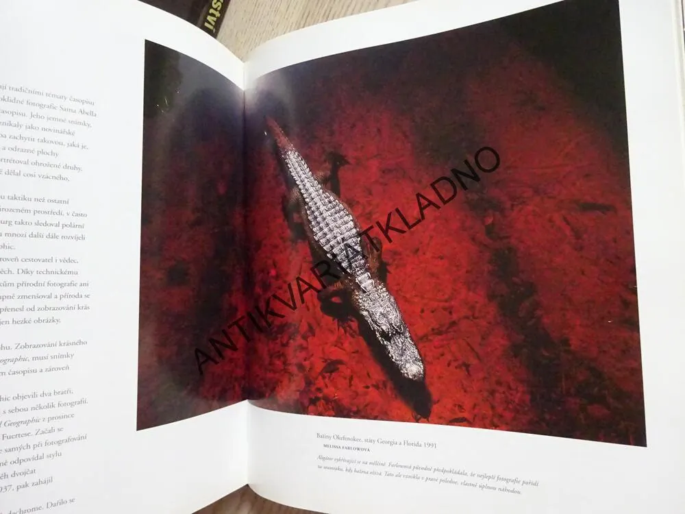 FOTOGRAFIE, NATIONAL GEOGRAPHIC, **an
