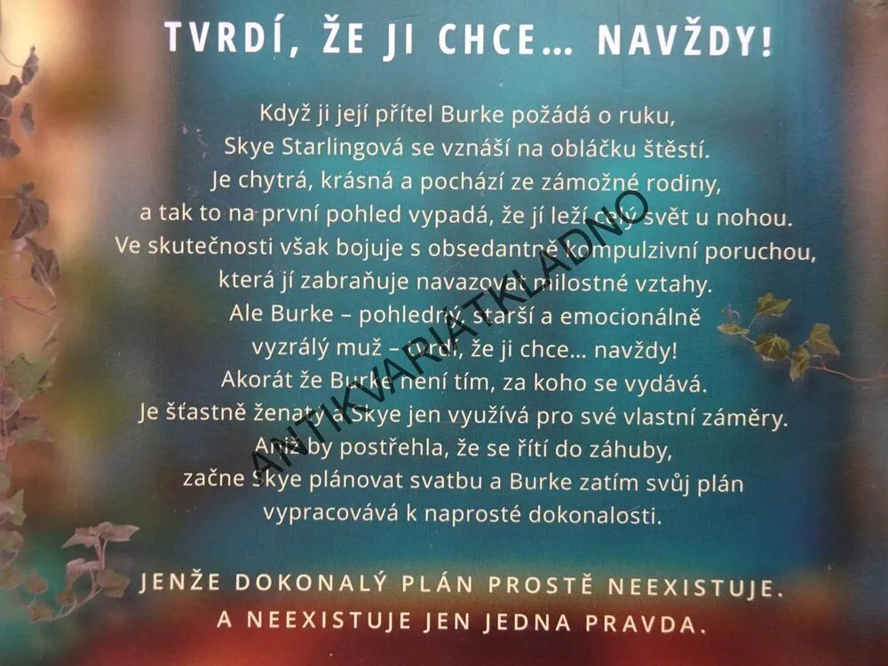 TŘETÍ POLOVIČKA, CAROLA LOVERINGOVÁ, **an