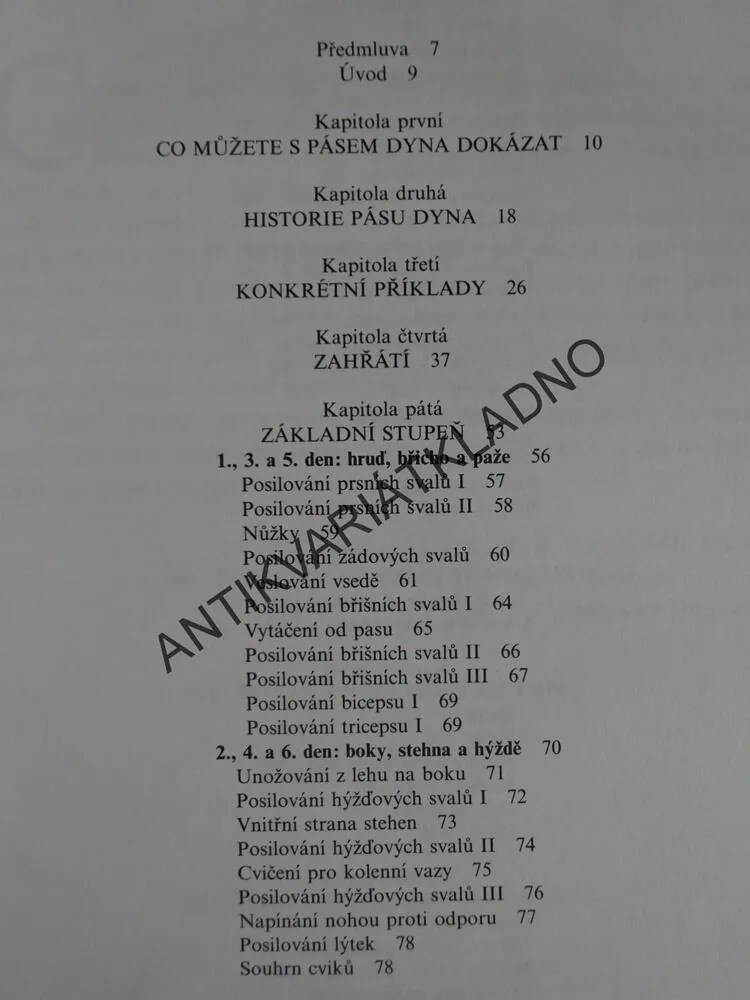 DYNA-BAND, PERFEKTNÍ POSTAVA ZA 10 MINUT DENNĚ, HILARY ATKINSON, ANDRÉE DEANE, **an