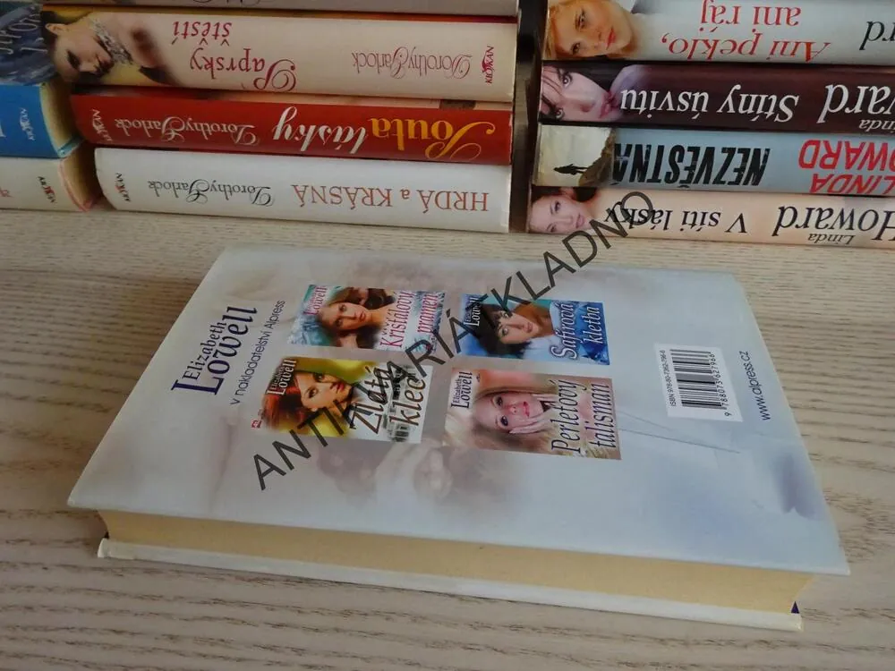 STŘÍBRNÁ HLADINA, ELIZABETH LOWELLOVÁ, **an