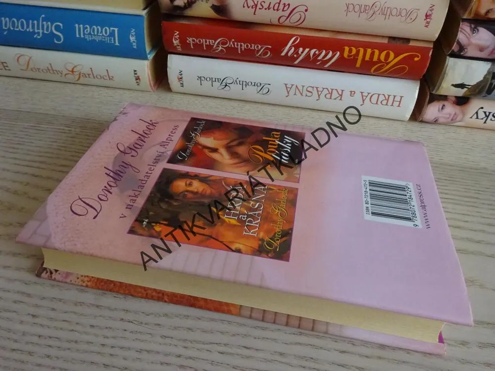 VÍC NEŽ VZPOMÍNKA, DOROTHY GARLOCK, **an