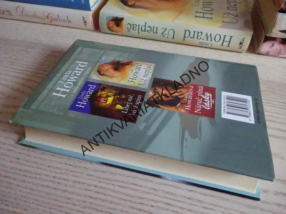 V NÁRUČI SNŮ, LINDA HOWARD, **an