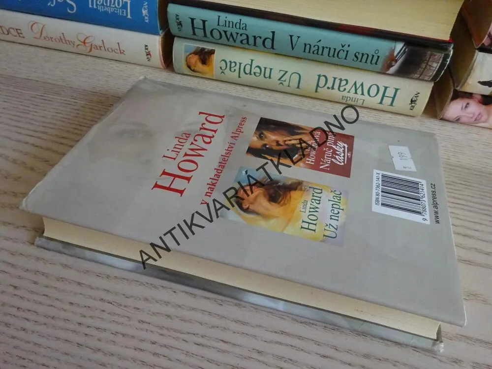 UŽÍVEJ NOCI, LINDA HOWARD, **an