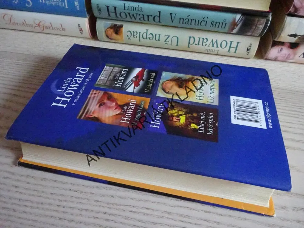 POD OCHRANOU NOCI, LINDA HOWARD, **an