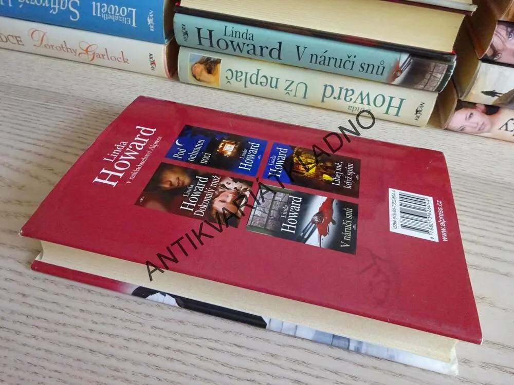 BLUDNÝ KRUH, LINDA HOWARD, **an